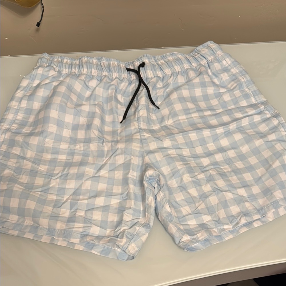 Men's Blue Checkered Swim Shorts